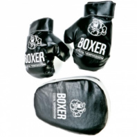 Боксерский набор №7 (лапа и перчатки)